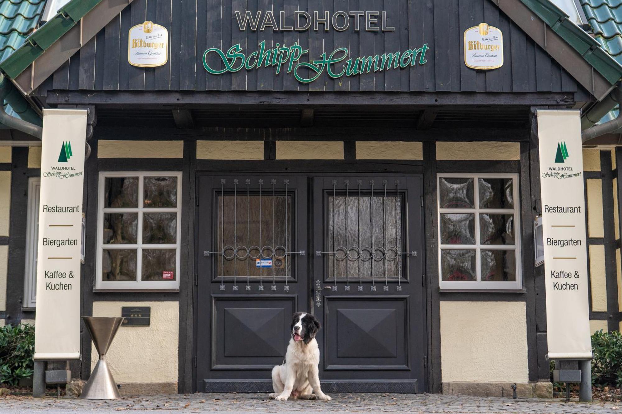 Waldhotel Schipp-Hummert Emsdetten Eksteriør bilde